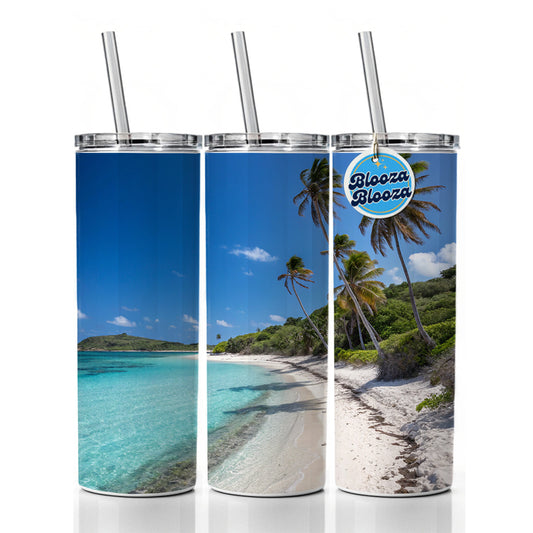 Aruba Tropical Beach Vacation Skinny Tumbler 20oz with Straw Insulated Water Bottle Gift