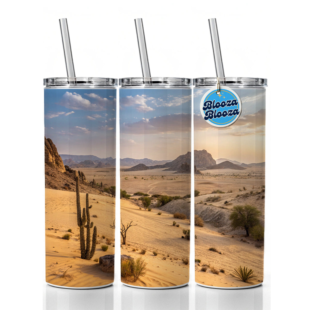 Beautiful Desert Skinny Tumbler 20oz with Straw Insulated Water Bottle Gift