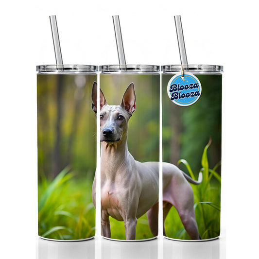 American Hairless Terrier Dog Photo Skinny Tumbler 20oz with Straw Insulated Water Bottle Gift