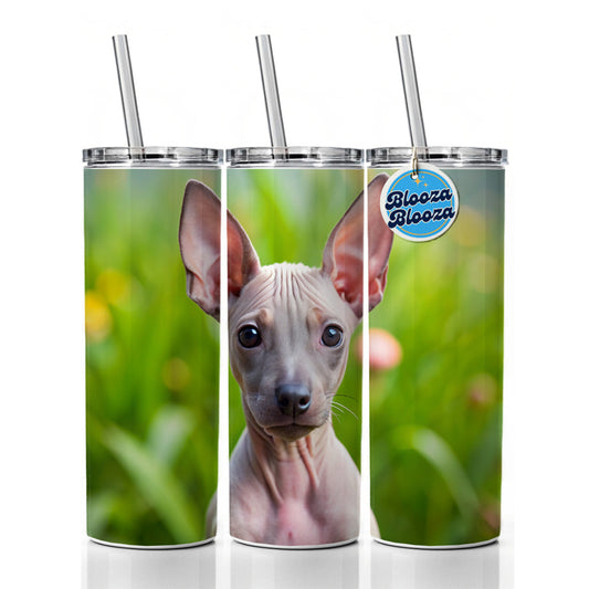 American Hairless Terrier Dog Puppy Photo Skinny Tumbler 20oz with Straw Insulated Water Bottle Gift