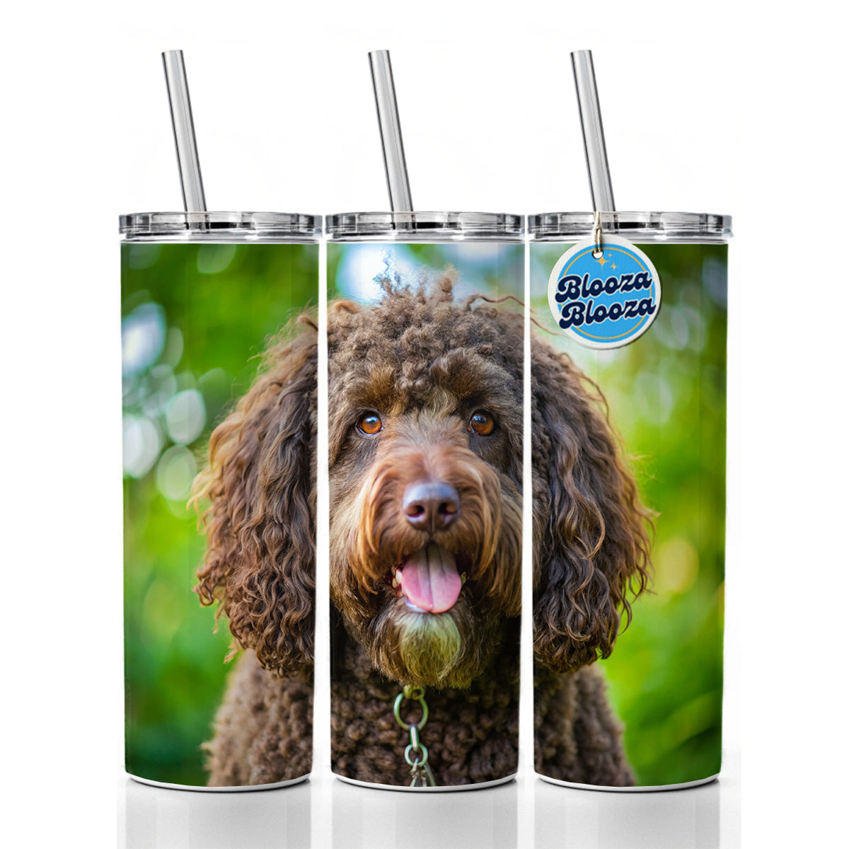 Barbet Dog Photo Skinny Tumbler 20oz with Straw Insulated Water Bottle Gift