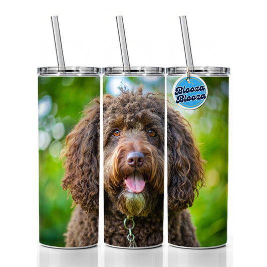 Barbet Dog Photo Skinny Tumbler 20oz with Straw Insulated Water Bottle Gift