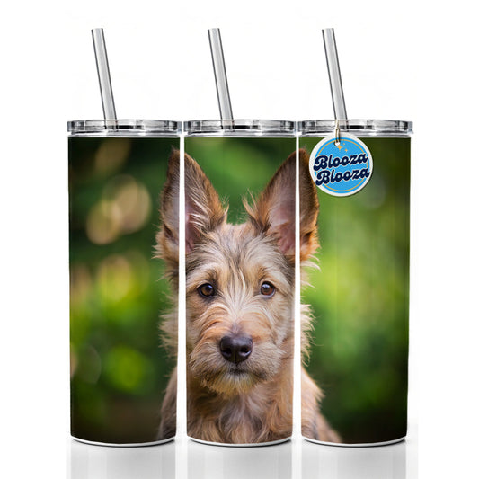 Berger Picard Dog Puppy Photo Skinny Tumbler 20oz with Straw Insulated Water Bottle Gift