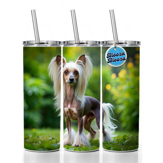Chinese Crested Dog Photo Skinny Tumbler 20oz with Straw Insulated Water Bottle Gift
