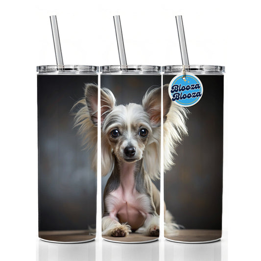Chinese Crested Dog Puppy Photo Skinny Tumbler 20oz with Straw Insulated Water Bottle Gift