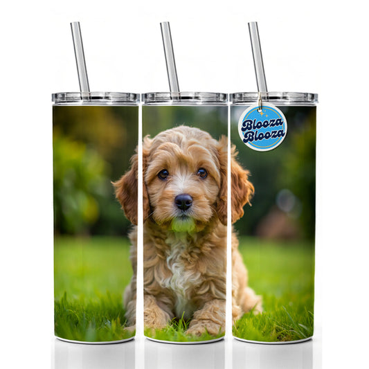 Cockapoo Dog Puppy Photo Skinny Tumbler 20oz with Straw Insulated Water Bottle Gift