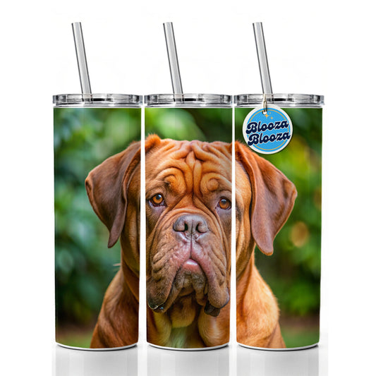 Dogues De Bordeaux Dog Photo Skinny Tumbler 20oz with Straw Insulated Water Bottle Gift