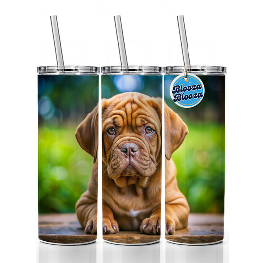 Dogues De Bordeaux Dog Puppy Photo Skinny Tumbler 20oz with Straw Insulated Water Bottle Gift