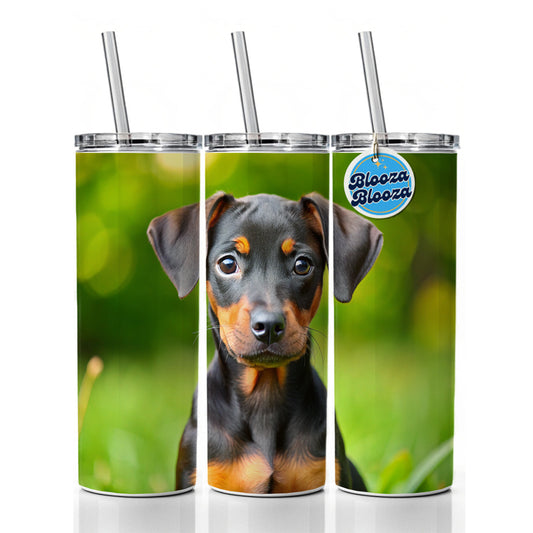 German Pinscher Dog Puppy Photo Skinny Tumbler 20oz with Straw Insulated Water Bottle Gift