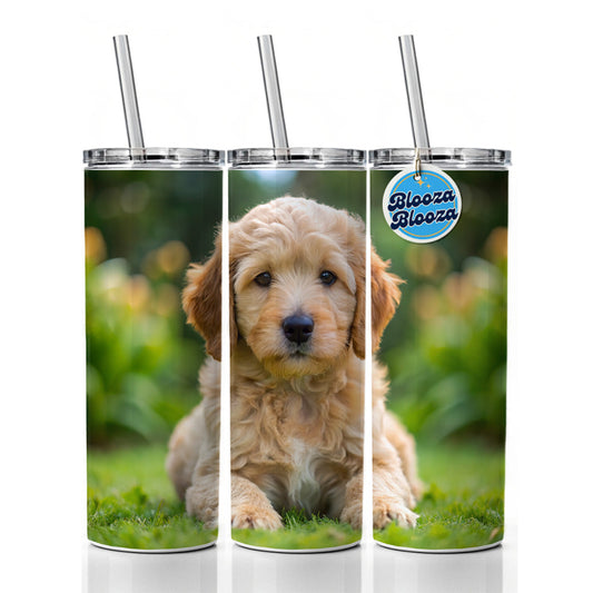 Goldendoodle Dog Puppy Photo Skinny Tumbler 20oz with Straw Insulated Water Bottle Gift