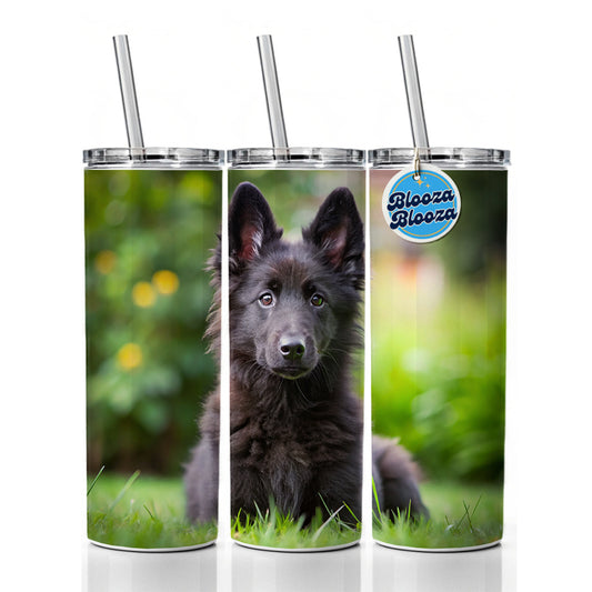 Groenendael Belgian Sheepdog Dog Puppy Photo Skinny Tumbler 20oz with Straw Insulated Water Bottle Gift