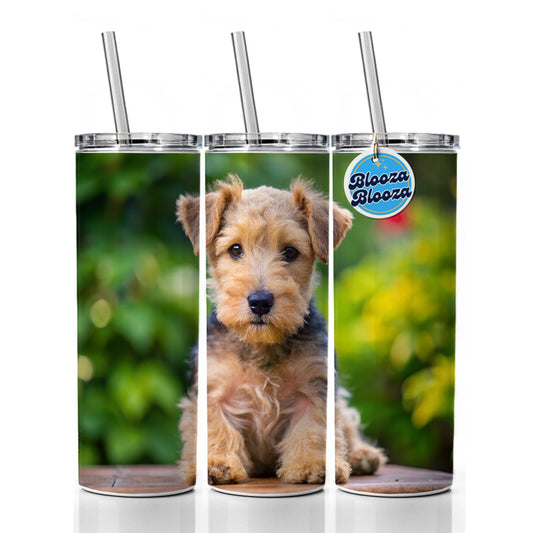 Lakeland Terrier Dog Puppy Photo Skinny Tumbler 20oz with Straw Insulated Water Bottle Gift