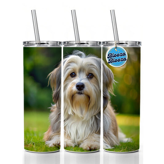 Lowchen Little Lion Dog Photo Skinny Tumbler 20oz with Straw Insulated Water Bottle Gift
