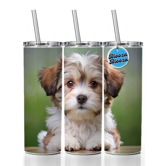 Lowchen Little Lion Dog Puppy Photo Skinny Tumbler 20oz with Straw Insulated Water Bottle Gift