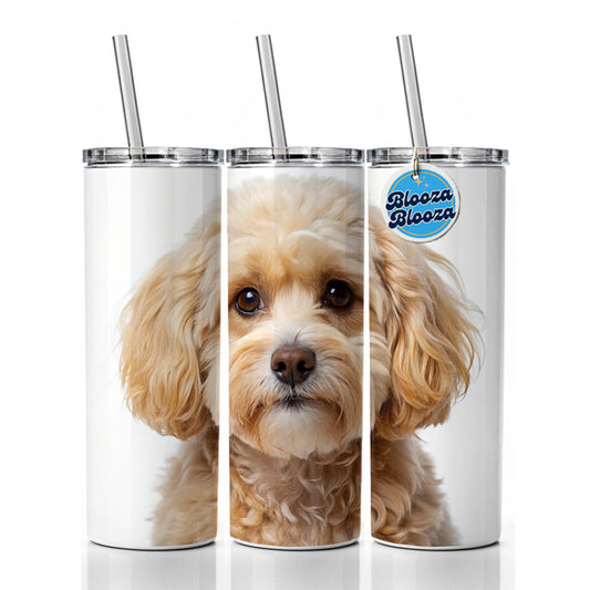 Maltipoo Dog Photo Skinny Tumbler 20oz with Straw Insulated Water Bottle Gift