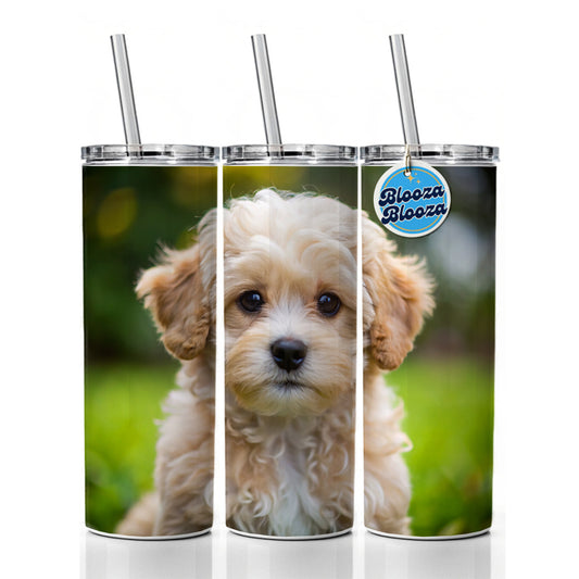 Maltipoo Dog Puppy Photo Skinny Tumbler 20oz with Straw Insulated Water Bottle Gift