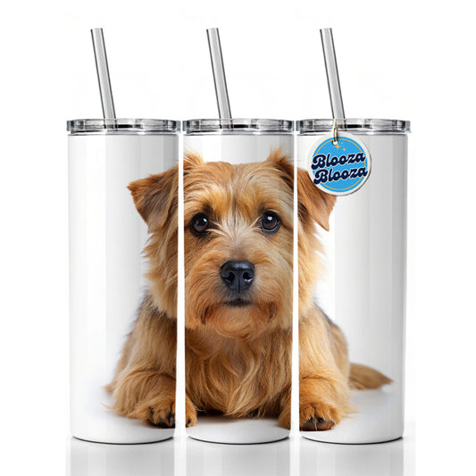 Norfolk Terrier Dog Photo Skinny Tumbler 20oz with Straw Insulated Water Bottle Gift
