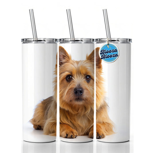 Norwich Terrier Dog Photo Skinny Tumbler 20oz with Straw Insulated Water Bottle Gift