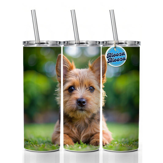 Norwich Terrier Dog Puppy Photo Skinny Tumbler 20oz with Straw Insulated Water Bottle Gift