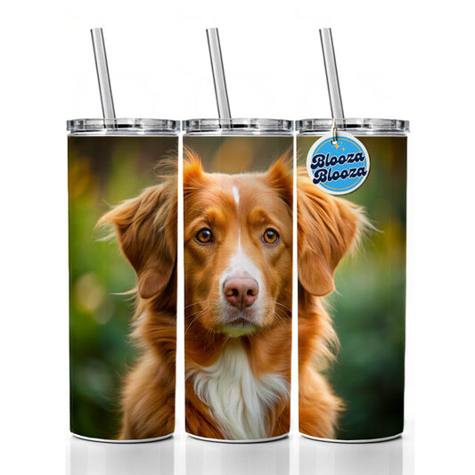 Nova Scotia Duck Tolling Retriever Dog Photo Skinny Tumbler 20oz with Straw Insulated Water Bottle Gift
