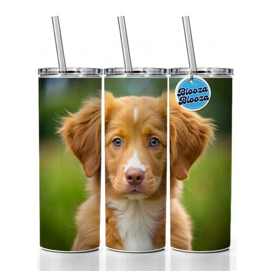 Nova Scotia Duck Tolling Retriever Dog Puppy Photo Skinny Tumbler 20oz with Straw Insulated Water Bottle Gift
