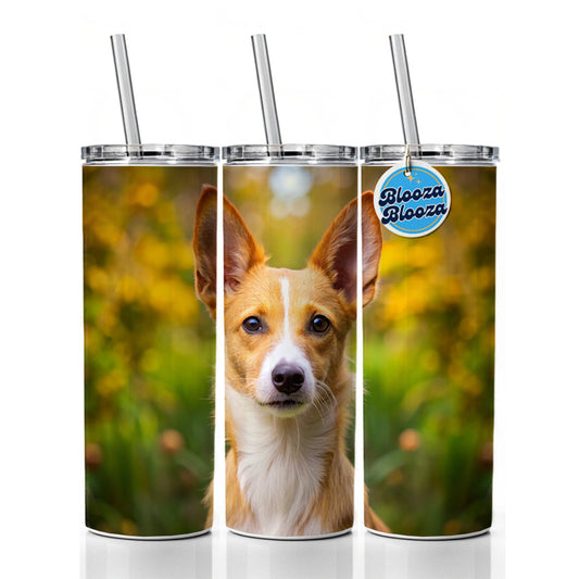 Portuguese Podengo Pequeno Dog Photo Skinny Tumbler 20oz with Straw Insulated Water Bottle Gift