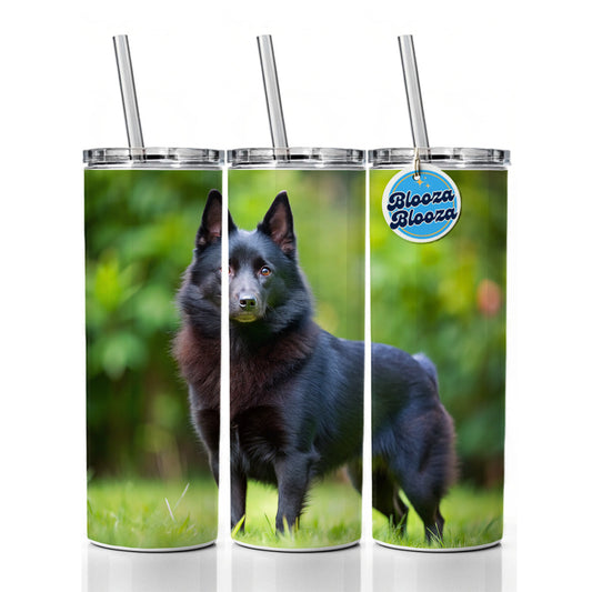 Schipperke Dog Photo Skinny Tumbler 20oz with Straw Insulated Water Bottle Gift