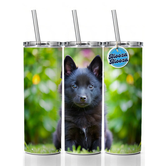 Schipperke Dog Puppy Photo Skinny Tumbler 20oz with Straw Insulated Water Bottle Gift