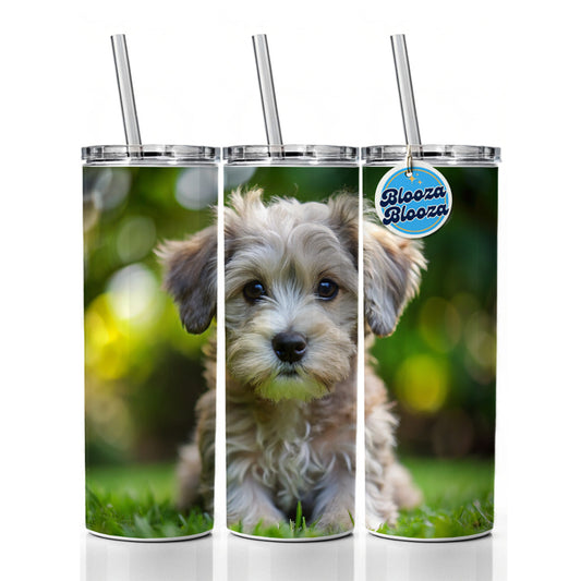 Schnoodle Dog Puppy Photo Skinny Tumbler 20oz with Straw Insulated Water Bottle Gift