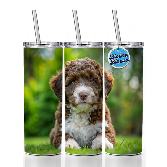 Spanish Water Dog Puppy Photo Skinny Tumbler 20oz with Straw Insulated Water Bottle Gift