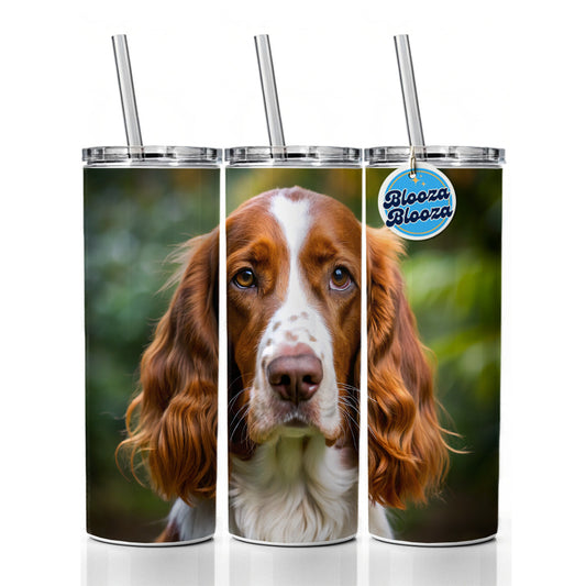 Welsh Springer Spaniel Dog Photo Skinny Tumbler 20oz with Straw Insulated Water Bottle Gift