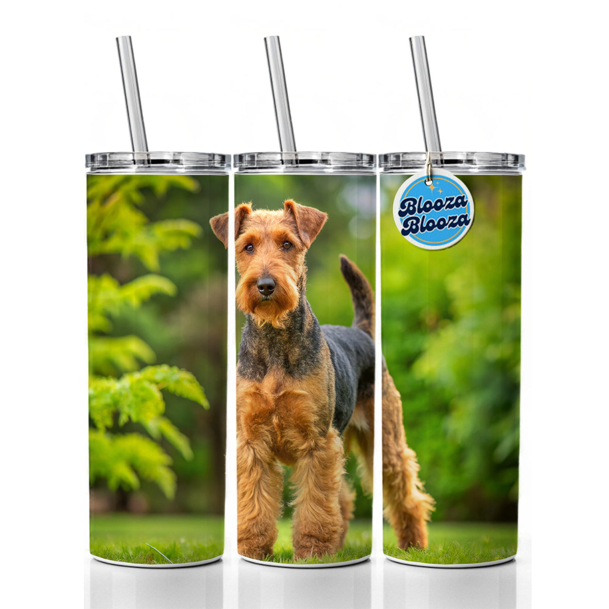 Welsh Terrier Dog Photo Skinny Tumbler 20oz with Straw Insulated Water Bottle Gift