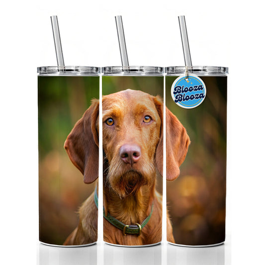 Wirehaired Vizsla Dog Photo Skinny Tumbler 20oz with Straw Insulated Water Bottle Gift
