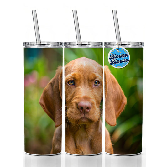 Wirehaired Vizsla Dog Puppy Photo Skinny Tumbler 20oz with Straw Insulated Water Bottle Gift