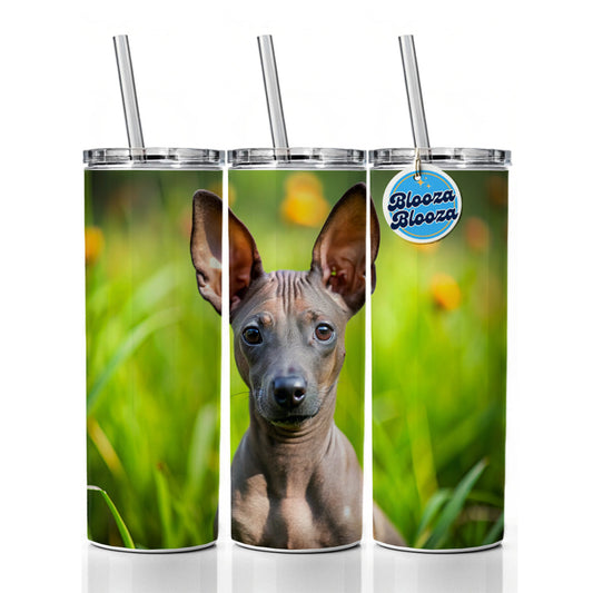 Xoloitzcuintli Xolo Mexican Hairless Dog Puppy Photo Skinny Tumbler 20oz with Straw Insulated Water Bottle Gift