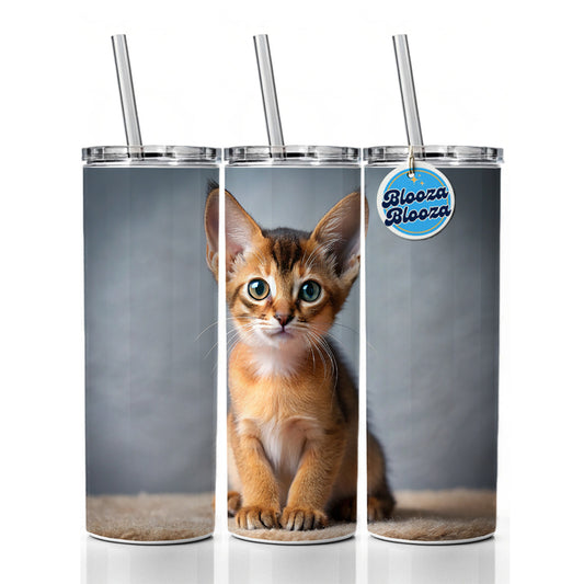 Abyssinian Cat Kitten Photo Skinny Tumbler 20oz with Straw Insulated Water Bottle Gift