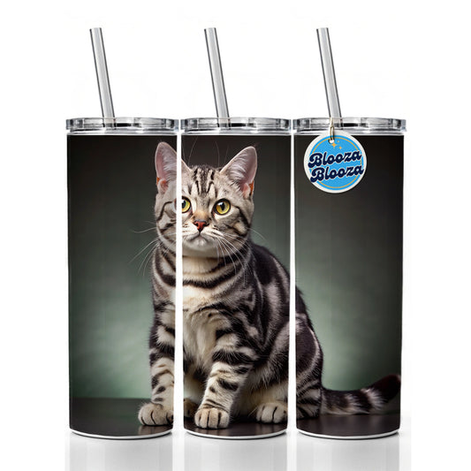 American Shorthair Cat Photo Skinny Tumbler 20oz with Straw Insulated Water Bottle Gift