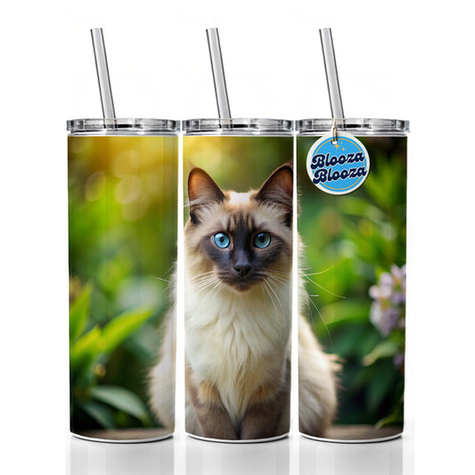 Balinese Cat Photo Skinny Tumbler 20oz with Straw Insulated Water Bottle Gift