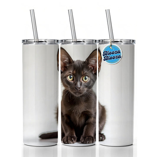 Bombay Black Cat Kitten Photo Skinny Tumbler 20oz with Straw Insulated Water Bottle Gift