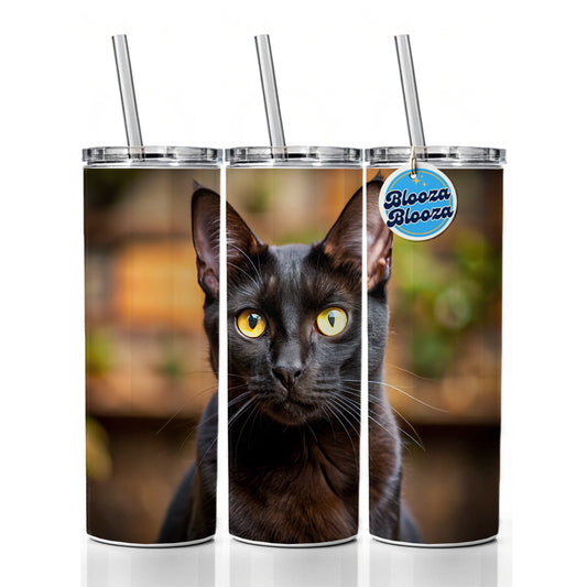 Bombay Black Cat Photo Skinny Tumbler 20oz with Straw Insulated Water Bottle Gift