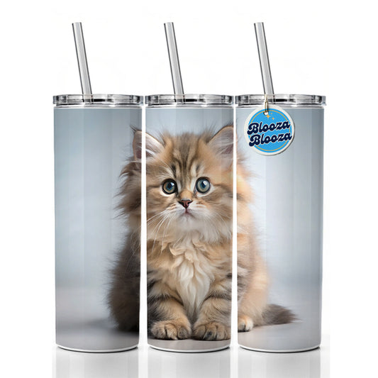 British Longhair Cat Kitten Photo Skinny Tumbler 20oz with Straw Insulated Water Bottle Gift