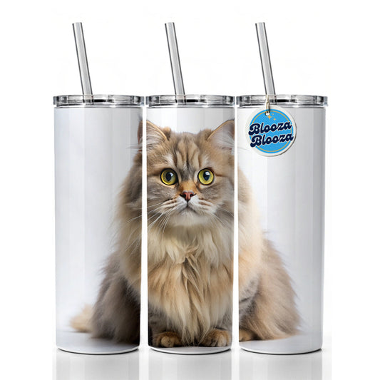 British Longhair Cat Photo Skinny Tumbler 20oz with Straw Insulated Water Bottle Gift