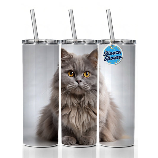 British Longhair Gray Cat Photo Skinny Tumbler 20oz with Straw Insulated Water Bottle Gift