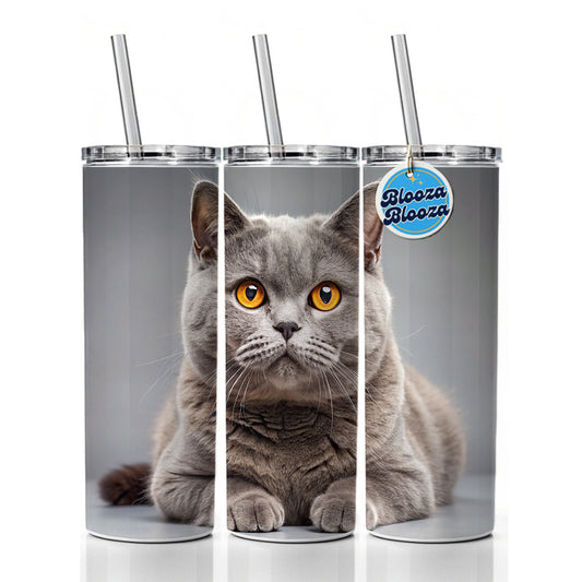 British Shorthair Gray Cat Photo Skinny Tumbler 20oz with Straw Insulated Water Bottle Gift