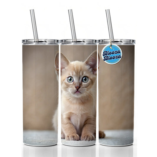 Burmese Cat Kitten Photo Skinny Tumbler 20oz with Straw Insulated Water Bottle Gift