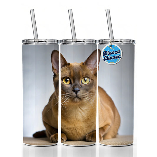 Burmese Cat Photo Skinny Tumbler 20oz with Straw Insulated Water Bottle Gift