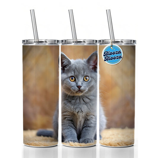 Chartreux Cat Kitten Photo Skinny Tumbler 20oz with Straw Insulated Water Bottle Gift