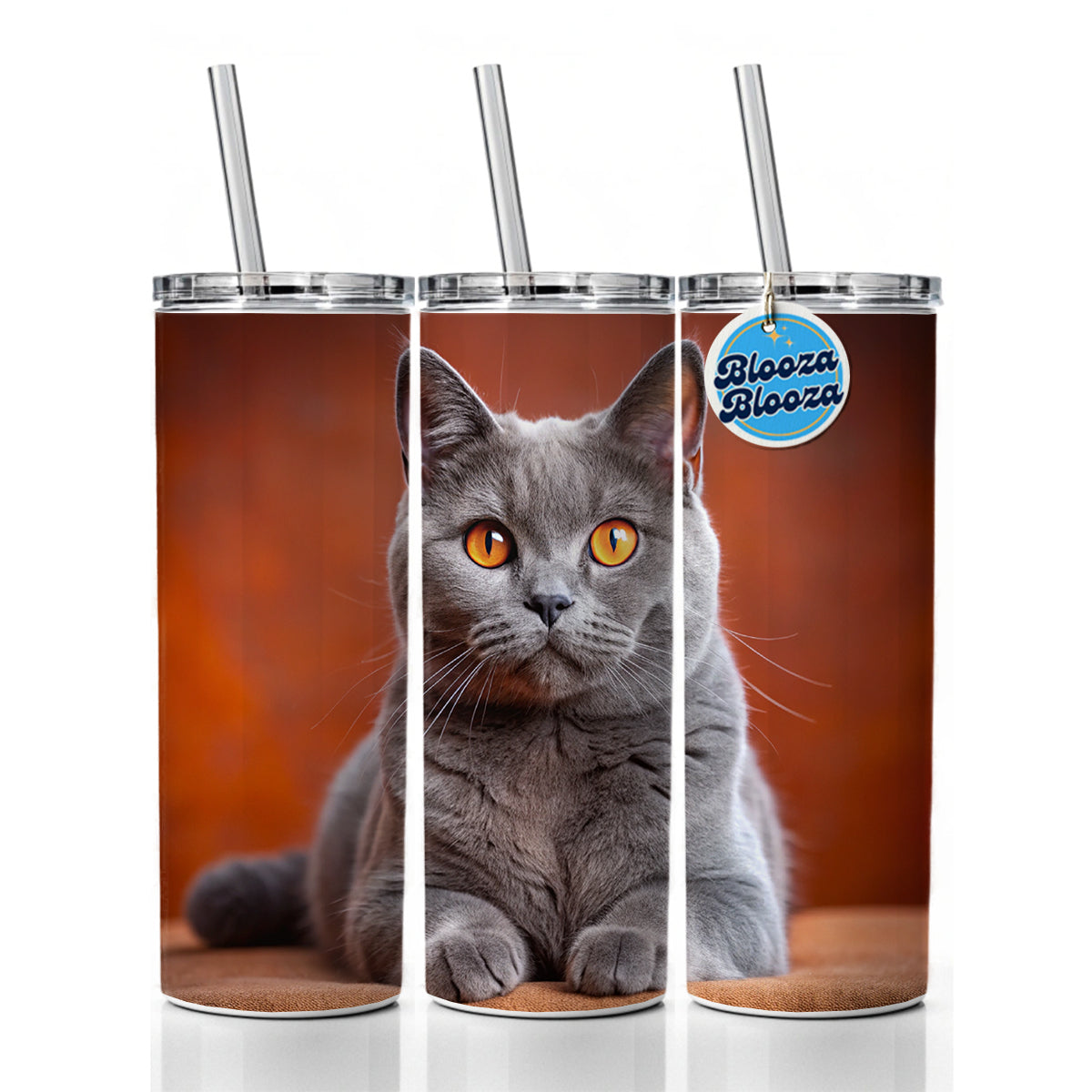 Chartreux Cat Photo Skinny Tumbler 20oz with Straw Insulated Water Bottle Gift