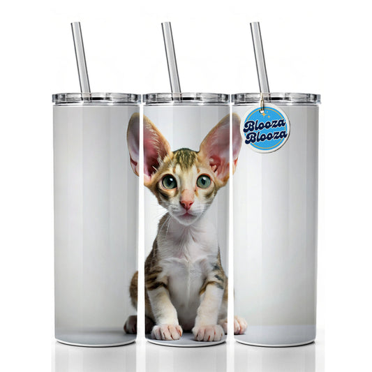 Cornish Rex Cat Kitten Photo Skinny Tumbler 20oz with Straw Insulated Water Bottle Gift