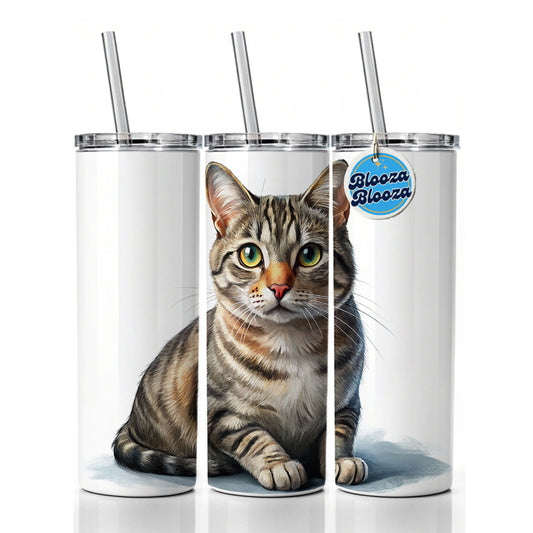 European Shorthair Cat Illustration Skinny Tumbler 20oz with Straw Insulated Water Bottle Gift